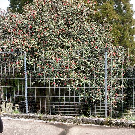 Appartamento 体験型農家民泊「お陽さまと風」 Bungoono Esterno foto